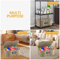 Morezi dog toy storage in living room keeping area organized