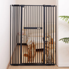 No Pawblems 55.1in gate front view shows sturdy metal frame for secure doorways.