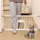No Pawblems dog gate pet-door-closed for secure pet access.
