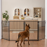 No Pawblems gate fully assembled in freestanding setup for stairs and doorways.
