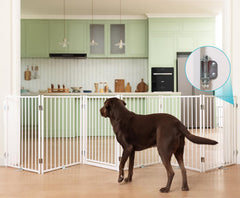 No Pawblems free-standing dog gate front view shows sturdy metal construction for durable indoor-outdoor use.
