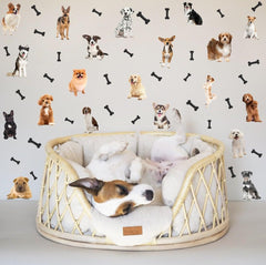 OLMIXA animal wall art suited for playrooms and classrooms.