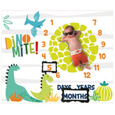 PAMBO dinosaur month blanket photo-setup for newborn memories in a tidy, non-wrinkled session.
