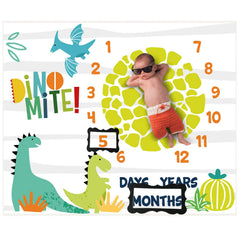 PAMBO dinosaur month blanket photo-setup for newborn memories in a tidy, non-wrinkled session.