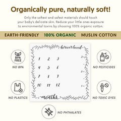 Pondering Pine monthly milestone blanket with growth chart for 1-12 months