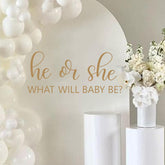 QIANGDAGSI He or She decal backdrop for gender reveal photos