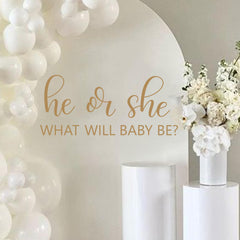 QIANGDAGSI He or She decal backdrop for gender reveal photos