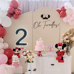 Raoformi Mouce Oh Twodles photo backdrop decal for memorable birthday photos