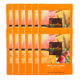 Real Food Blends salmon-oats-squash-puree plate—protein-rich lunch option for blenderized feeding.