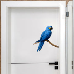 RoyoLam Macaw watercolor detail enhances room accents with soft artistic flair.