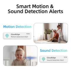 Rraycom AI detection delivers alerts and highlights potential activity or sounds.