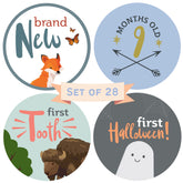 RubyRoo Baby milestone stickers monthly 12-pack for adorable monthly photos