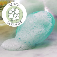 Two-pack set of sandtinc brushes shown with suction cup handles