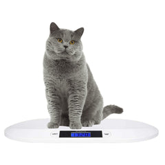 SIKE Feline Scale digital display shows quick, accurate pet weight readings