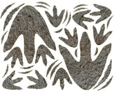 Solvora dinosaur footprints package: five-sheet decal set for quick room decorating