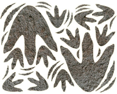 Solvora dinosaur footprints package: five-sheet decal set for quick room decorating