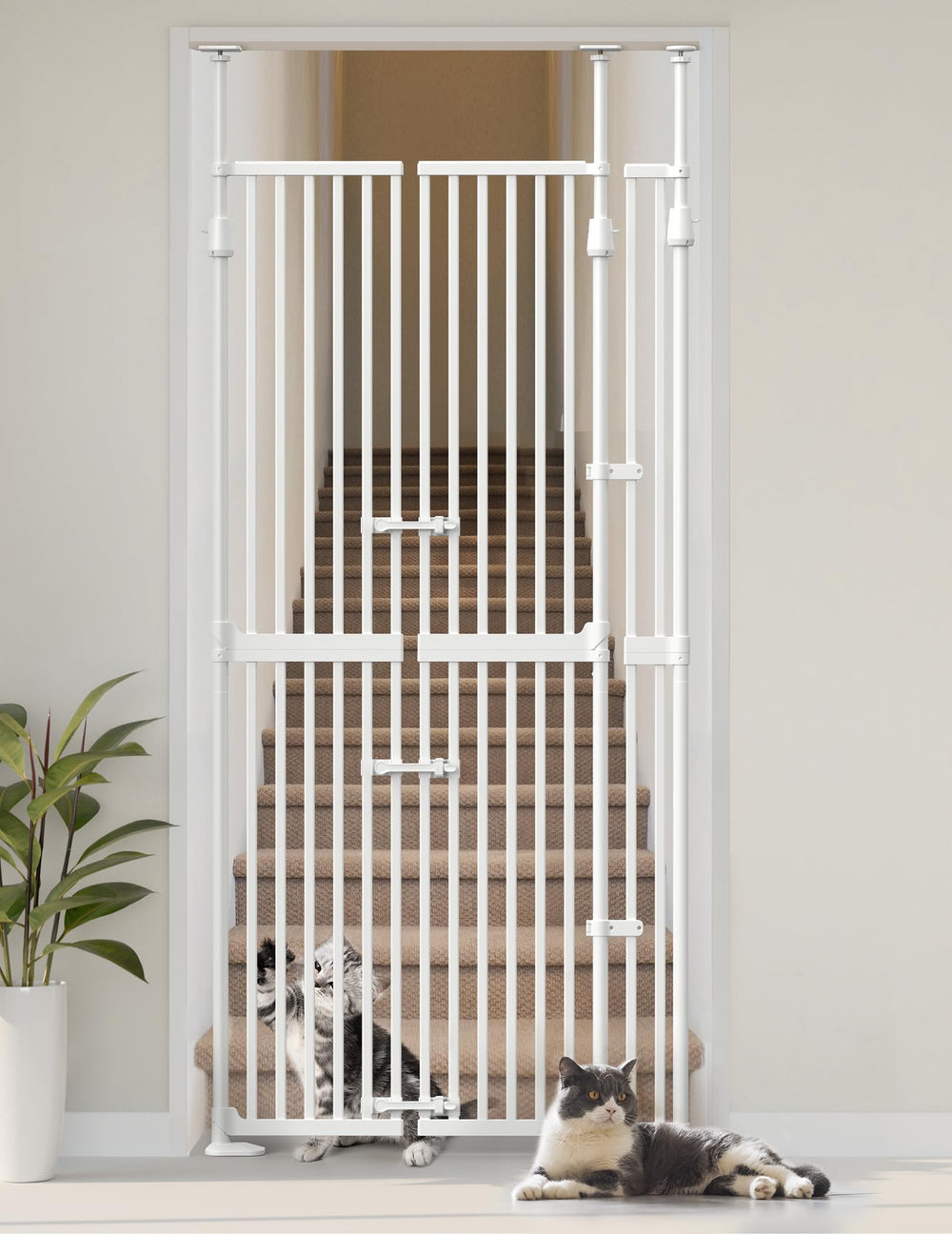 Sprouterie extra tall cat gate in doorway keeps pets contained without wall damage.
