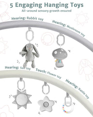 suihuooo 3in1 play mat detachable toys encourage grasping and tactile exploration