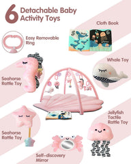 suihuooo Baby Play Gym Mat with 6 detachable toys for sensory exploration