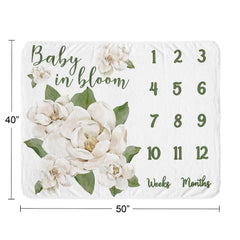 Sweet Jojo Designs Baby in Bloom quote detail adds keepsake storytelling