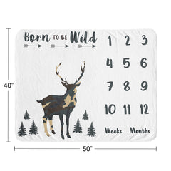 Sweet Jojo Designs Born To Be Wild quote adds playful charm