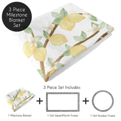 Sweet Jojo Designs milestone frame closeup marks weeks for growth tracking