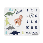 Sweet Jojo Designs Mod Dino Boy milestone blanket closeup showcases plush minky texture for warm baby photos.
