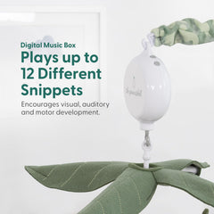 The detachable arm on The Peanutshell mobile enables easy setup and storage.
