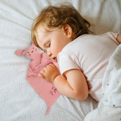 TOHARA two-pcs bunny lovey set convenient backup for busy parents.