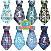 TurtleSurfers baby monthly ties set front view with easy-peel stickers