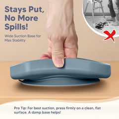 WiLLBEttER divided suction bowl aids portion control and easy food separation