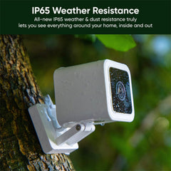 Wyze Cam v3 color night vision capture in low light with vivid detail.