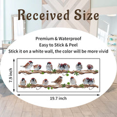 X-xdaonl Removable Bird Wall Decal Pack easy to install and cleanly removable