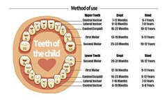 YOFAN tooth fairy tradition holder preserves tooth fairy magic in a box