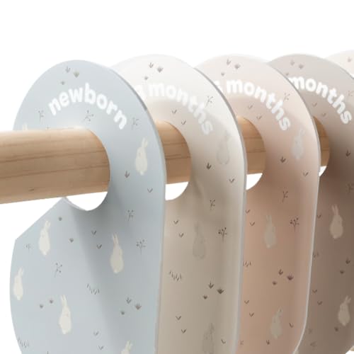 3 Sprouts Rabbit dividers with double-sided labels for quick visibility