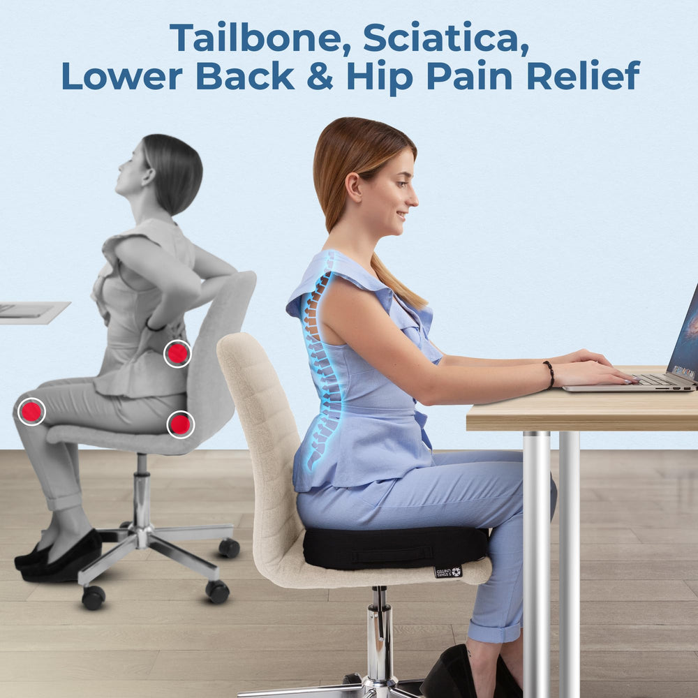 5 STARS UNITED seat cushion back view emphasizing spine-friendly alignment