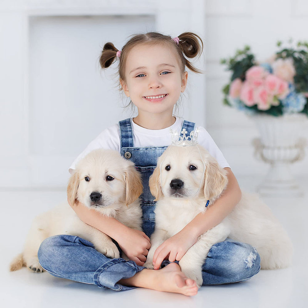 Abeillo birthday party crowns pack for stylish gifting and styling