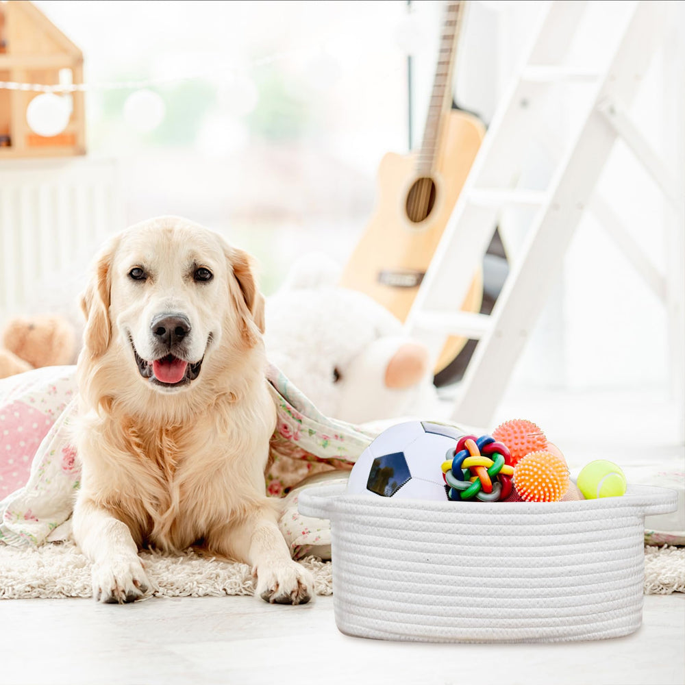 ABenkle basket pet toys storage keeps spaces organized.