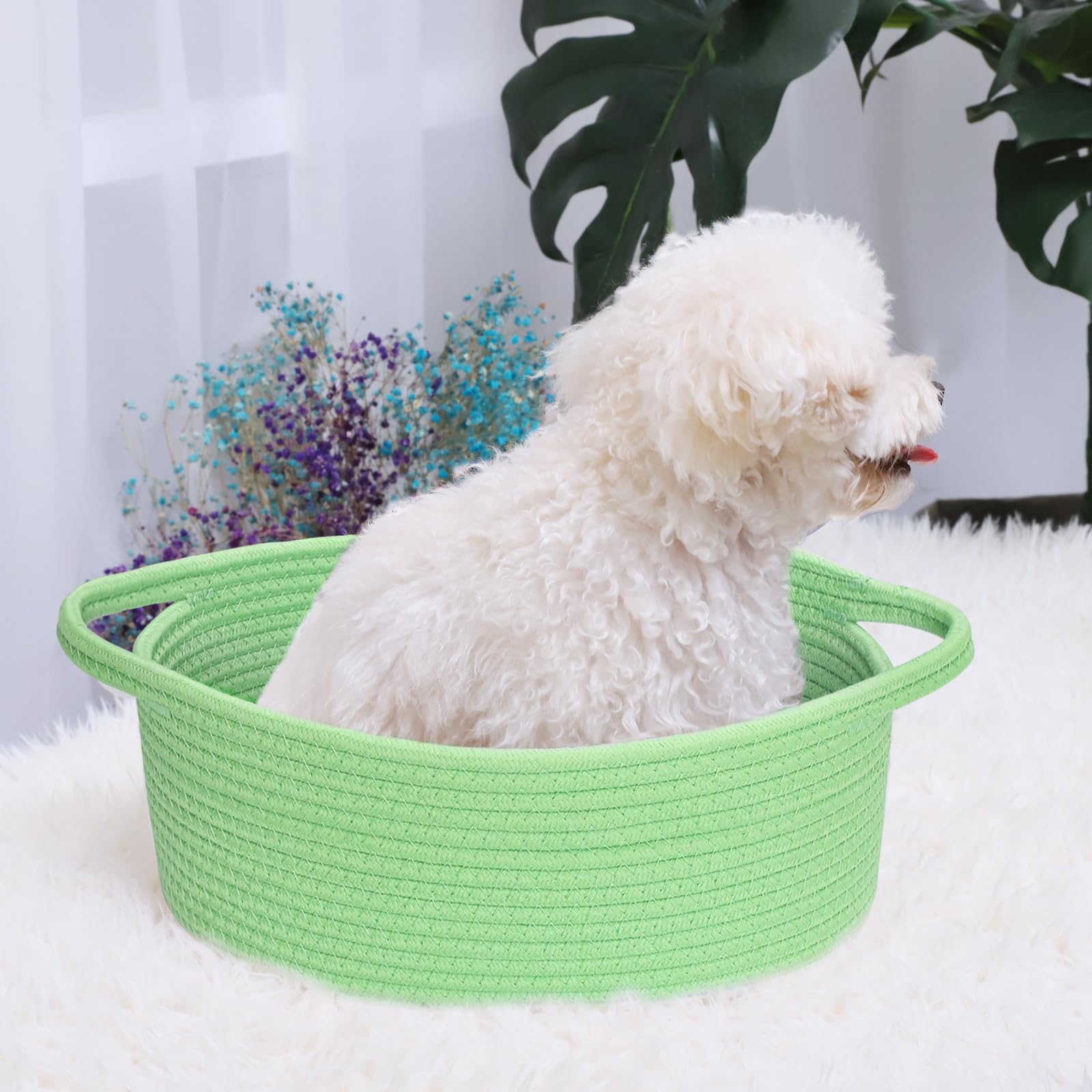 ABenkle dog and cat friendly basket for pet essentials.