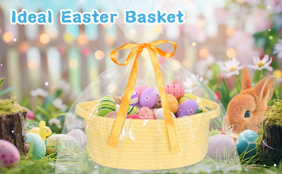ABenkle handled organizer basket ideal for toys and toiletries
