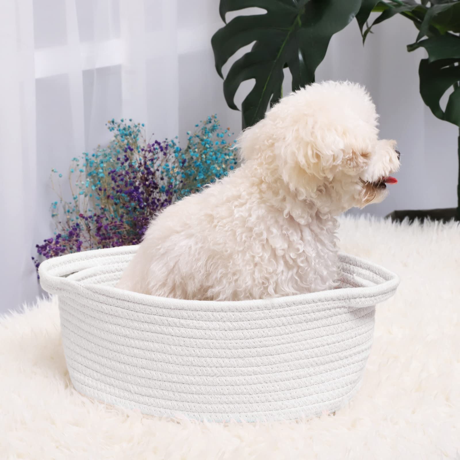 ABenkle 12x8x5 dimension focused image shows compact shelf friendly storage