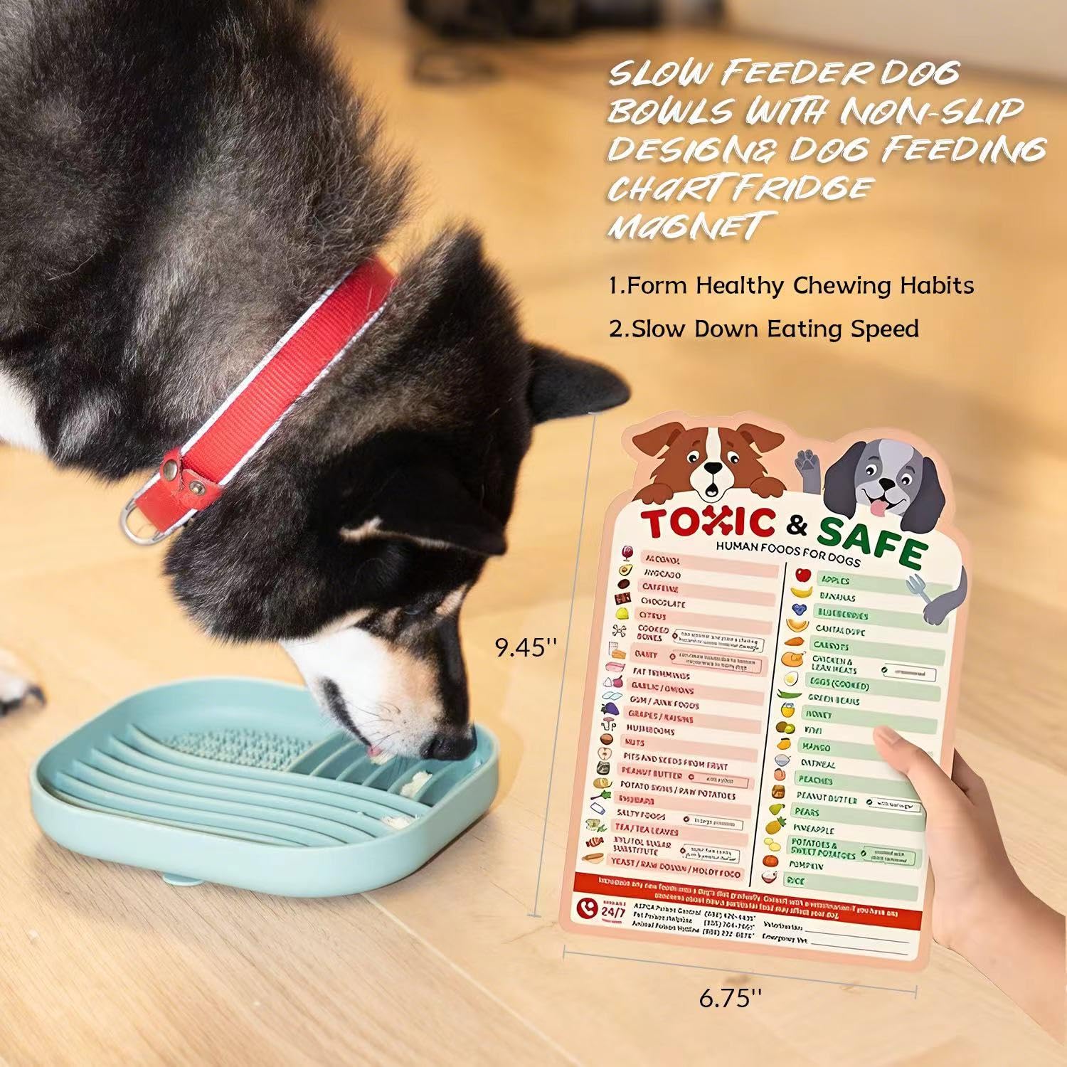 Acalgero Puppy Cookie Cutter Recipe image invites tasty, safe treats for training.