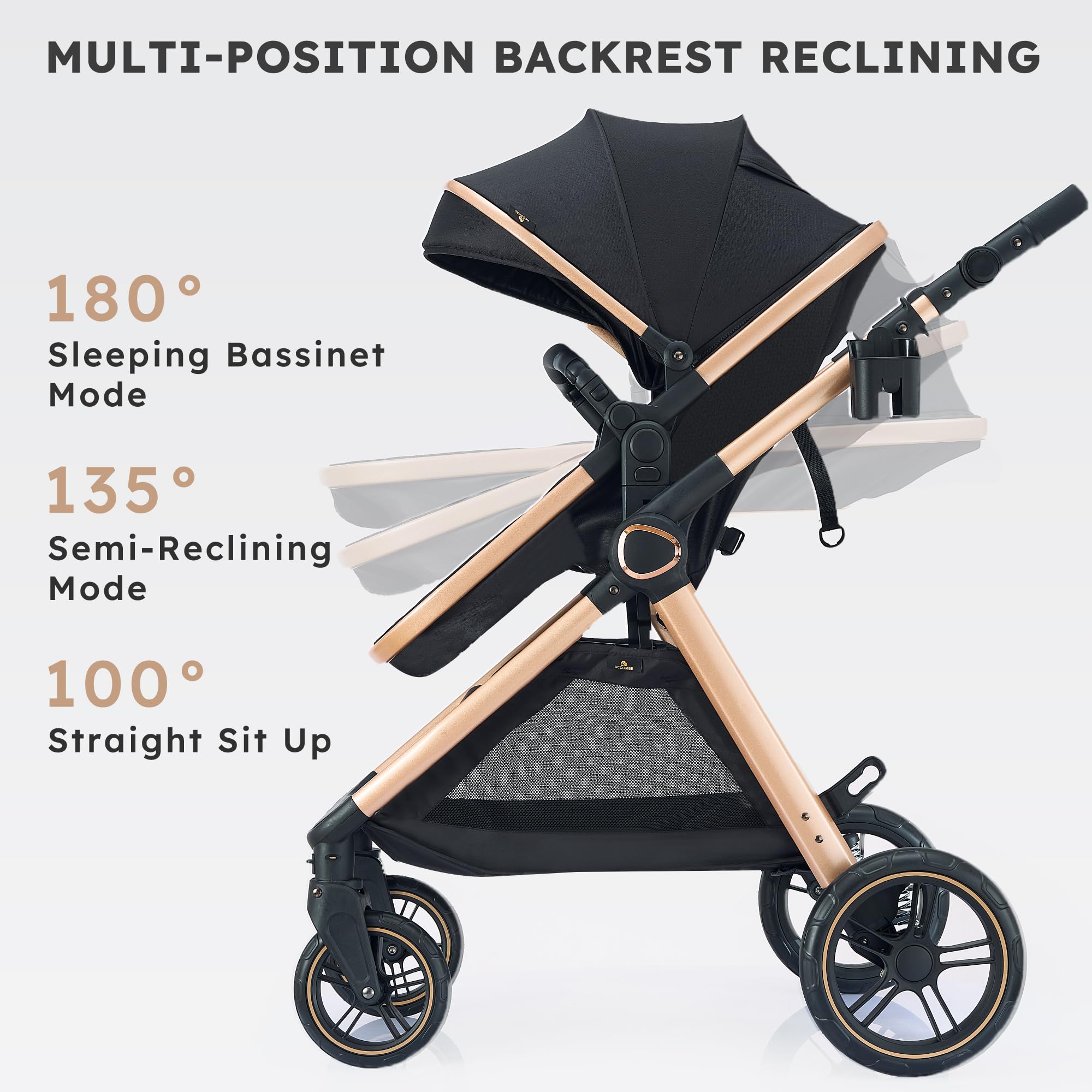 Accombe 5-point safety belt with detachable armrest secures daily walks