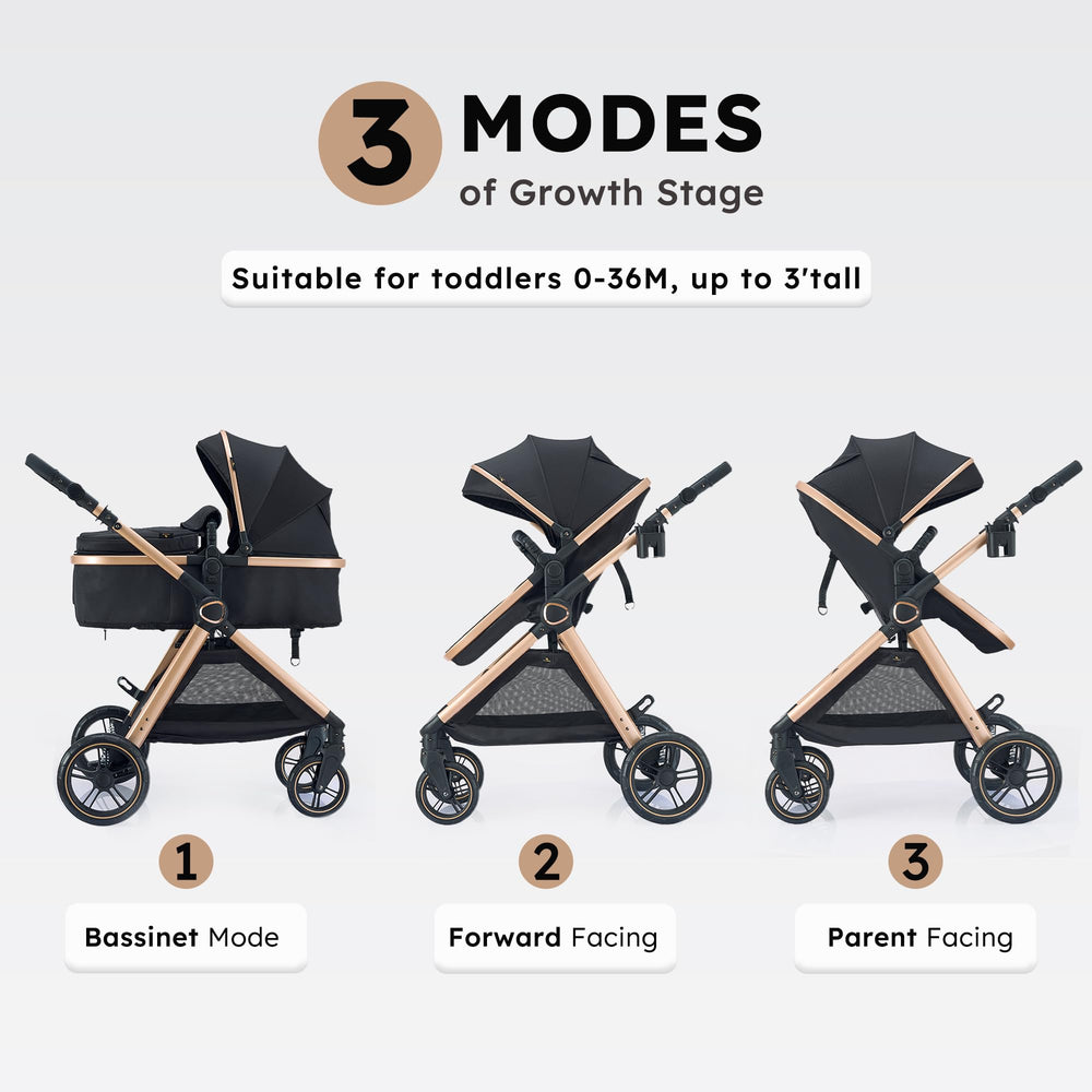 Accombe sturdy alloy frame highlighted for durable, comfortable family outings