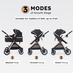 Accombe sturdy alloy frame highlighted for durable, comfortable family outings