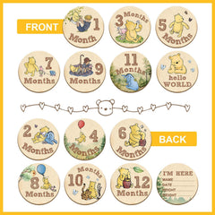 ALodr Winnie storage bag for milestone discs keeps set organized between shoots