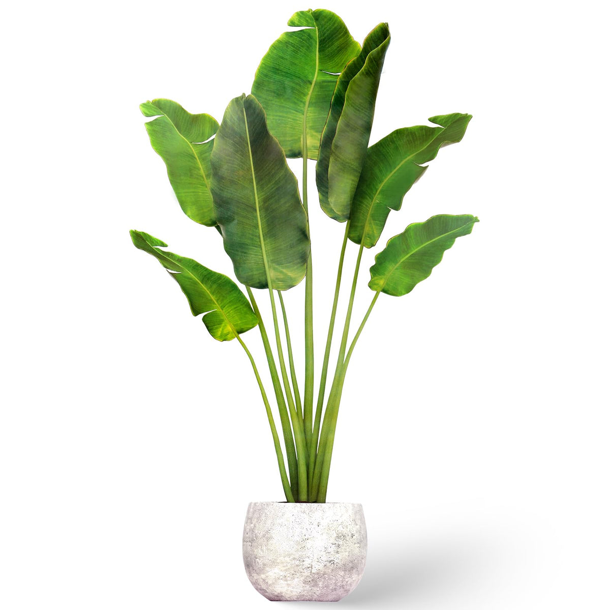 Alrhso plant wall stickers 3D potted greens add instant decor and natural texture to any room.