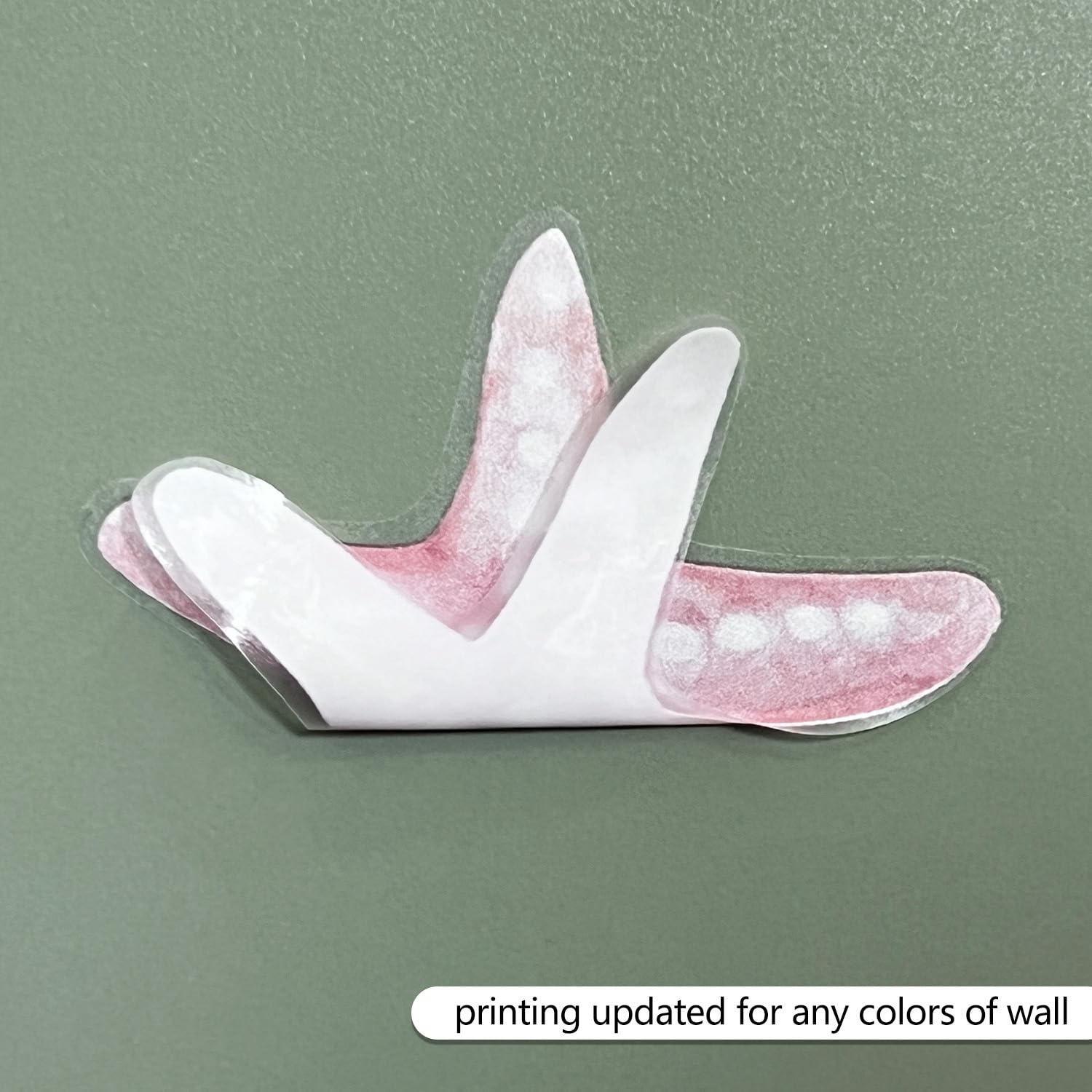 Alwayspon close-up pale pink shells highlight gentle texture and room ambiance.