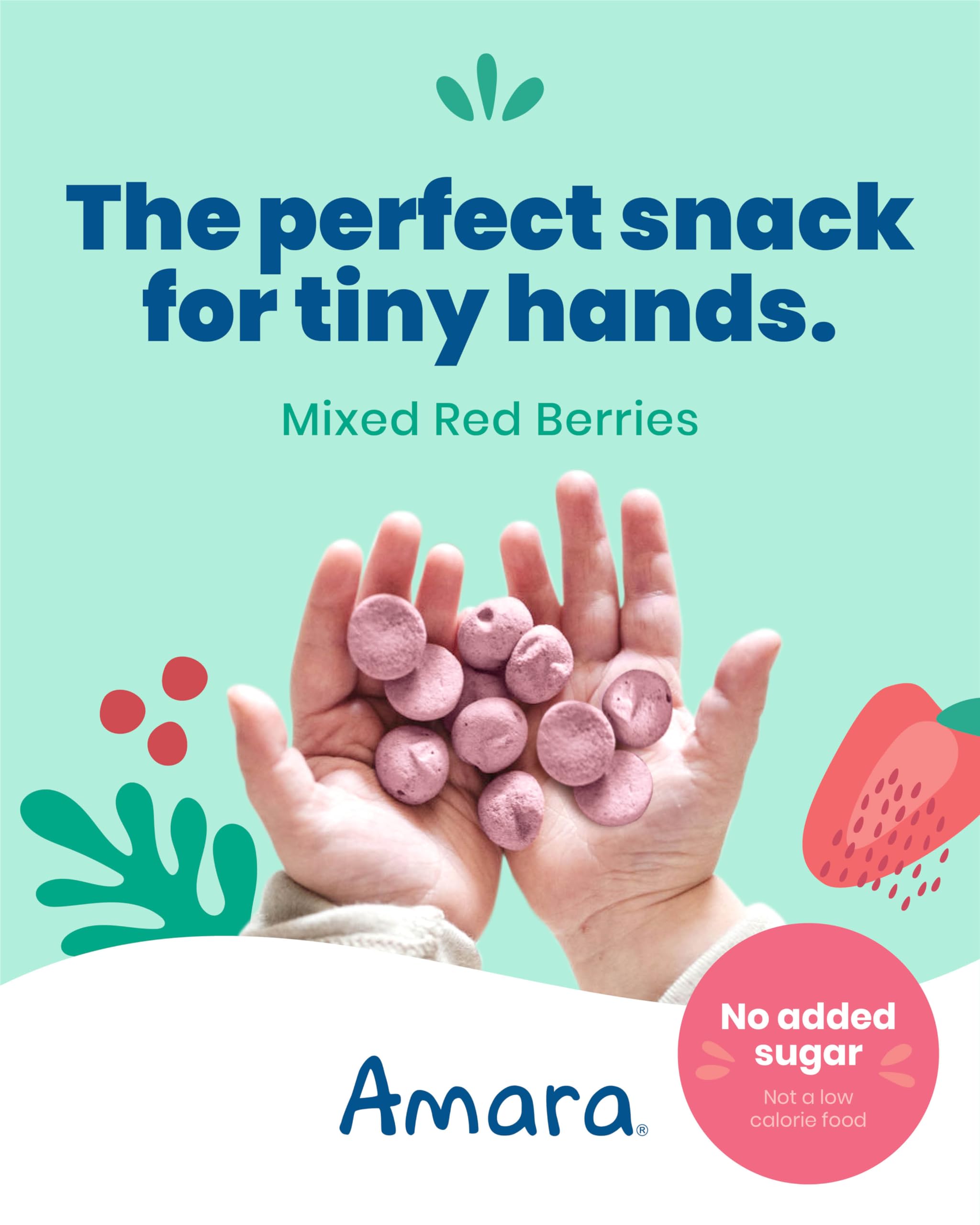Amara Smoothie Melts berry yogurt texture with no added sugar.