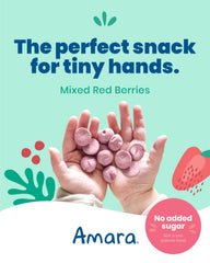 Amara Smoothie Melts berry yogurt texture with no added sugar.
